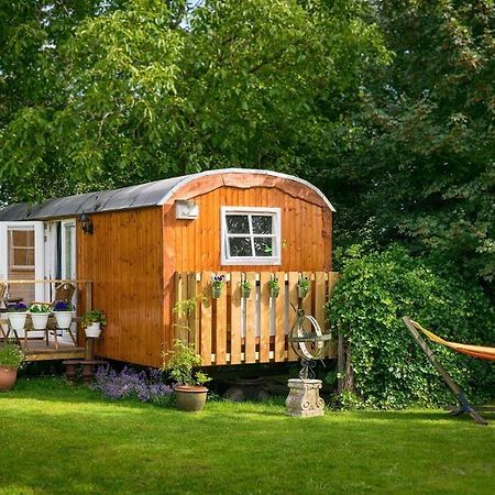 B&B Hetvrijdagsgevoel 스네크 외부 사진